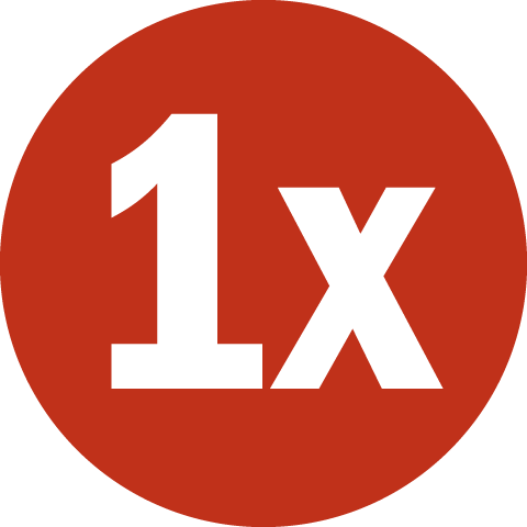 1x Icon