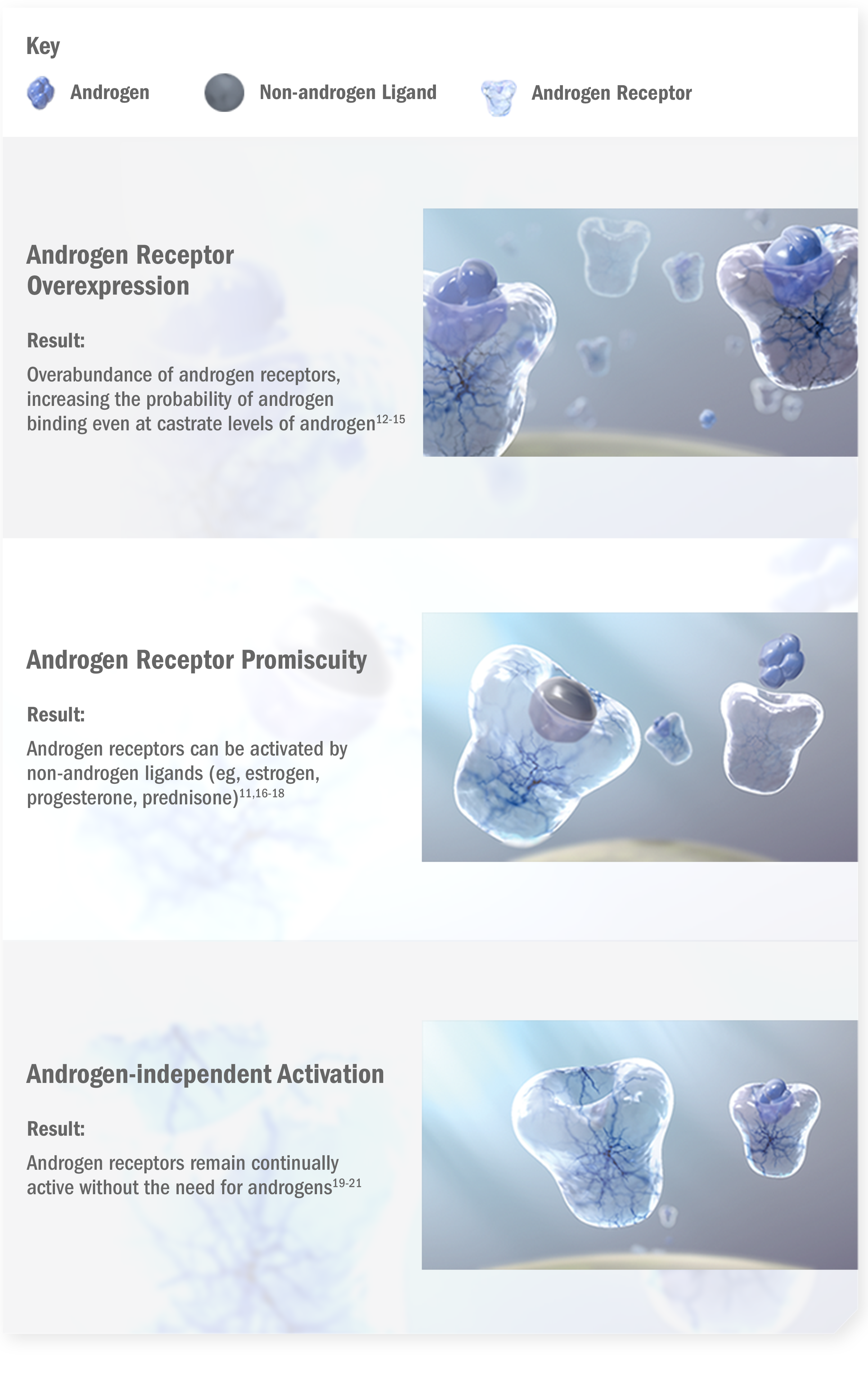 Mechanism of Disease