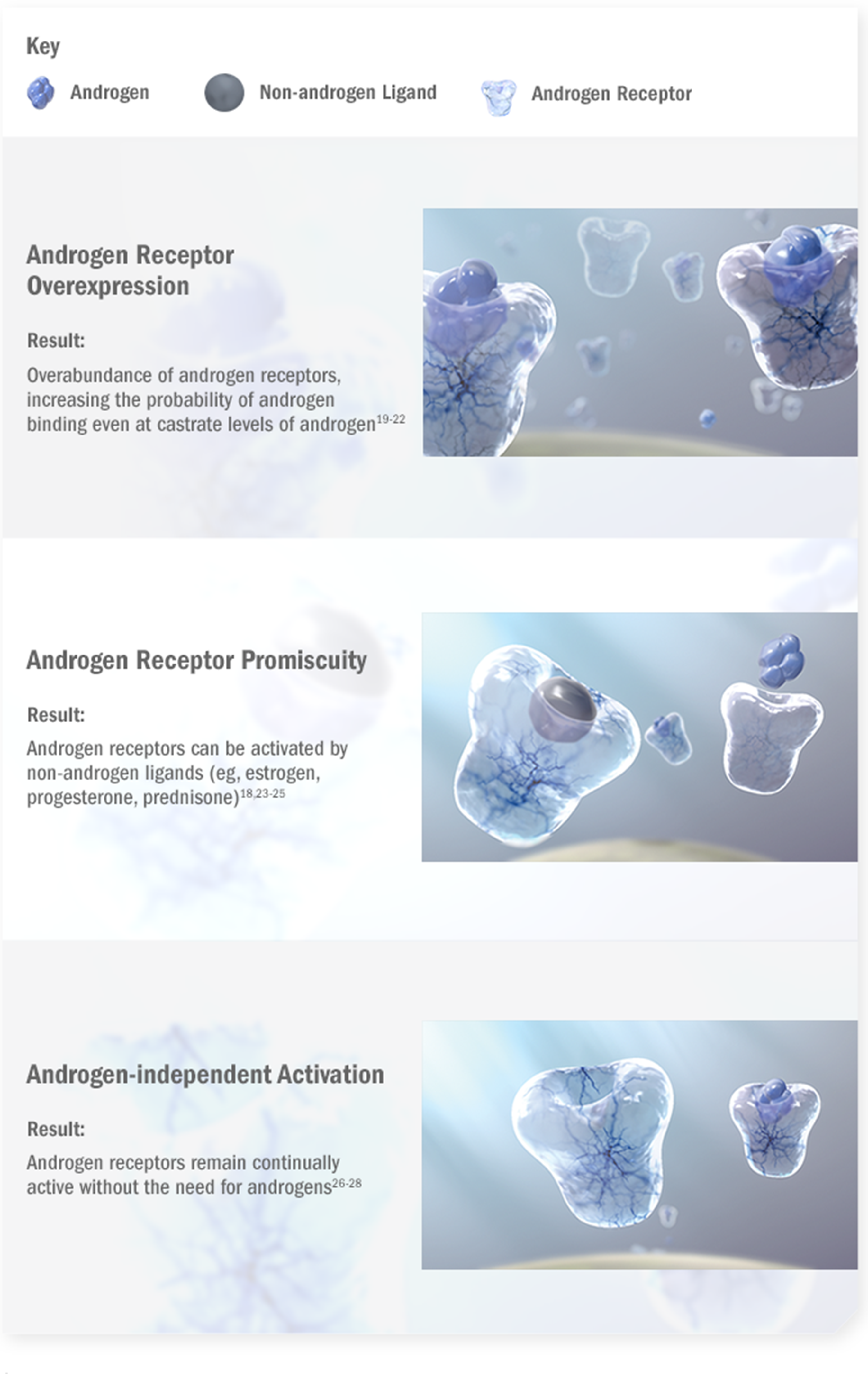 Mechanism of Disease